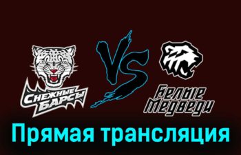 Снежные Барсы — Белые Медведи 13 февраля 2024 года прямая трансляция