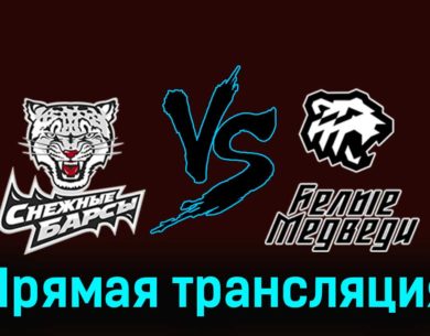Снежные Барсы — Белые Медведи 13 февраля 2024 года прямая трансляция
