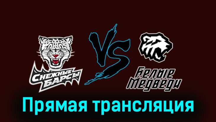 Снежные Барсы — Белые Медведи 13 февраля 2024 года прямая трансляция