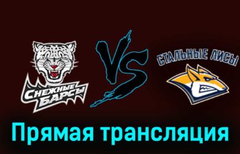 Снежные Барсы — Стальные Лисы 16 февраля 2024 года прямая трансляция