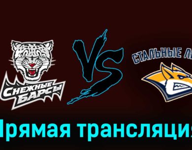 Снежные Барсы — Стальные Лисы 16 февраля 2024 года прямая трансляция