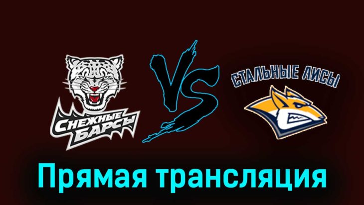 Снежные Барсы — Стальные Лисы 16 февраля 2024 года прямая трансляция Снежные Барсы — Стальные Лисы 16 февраля 2024 года прямая трансляция