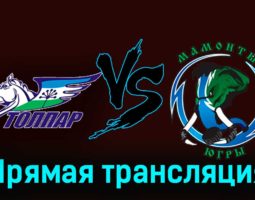 Толпар — Мамонты Югры 19 февраля 2024 года прямая трансляция