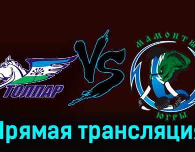 Толпар — Мамонты Югры 19 февраля 2024 года прямая трансляция