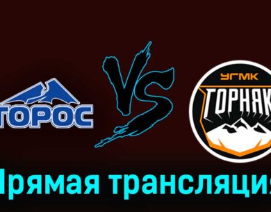 Торос — Горняк-УГМК 16 февраля 2024 года прямая трансляция