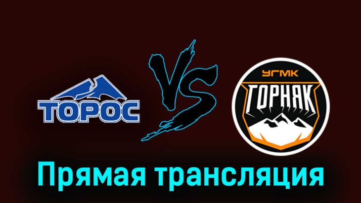 Торос — Горняк-УГМК 16 февраля 2024 года прямая трансляция Торос — Горняк-УГМК 16 февраля 2024 года прямая трансляция