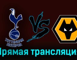 Тоттенхэм Хотспур — Вулверхэмптон 17 февраля 2024 года прямая трансляция