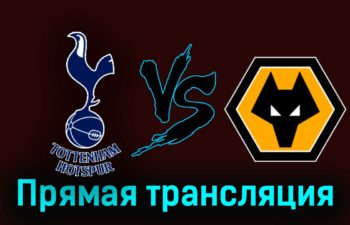 Тоттенхэм Хотспур — Вулверхэмптон 17 февраля 2024 года прямая трансляция