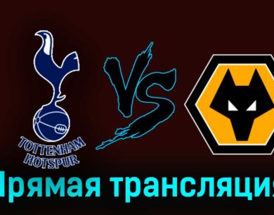 Тоттенхэм Хотспур — Вулверхэмптон 17 февраля 2024 года прямая трансляция