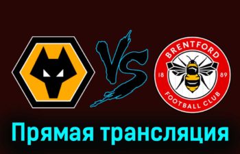 Вулверхэмптон — Брентфорд 10 февраля 2024 года прямая трансляция