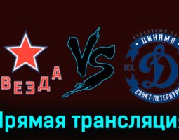 Звезда — Динамо СПб 16 февраля 2024 года прямая трансляция