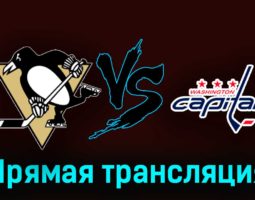 Питтсбург Пингвинз — Вашингтон Кэпиталз 8 марта 2024 года прямая трансляция