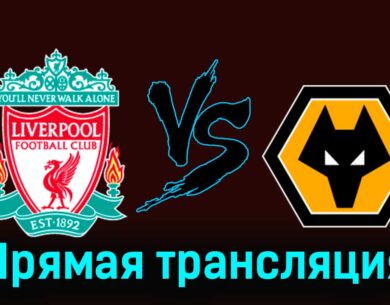 Ливерпуль — Вулверхэмптон 19 мая 2024 года прямая трансляция