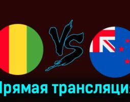 Гвинея — Новая Зеландия 24 июля 2024 года прямая трансляция