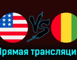 США — Гвинея 30 июля 2024 года прямая трансляция